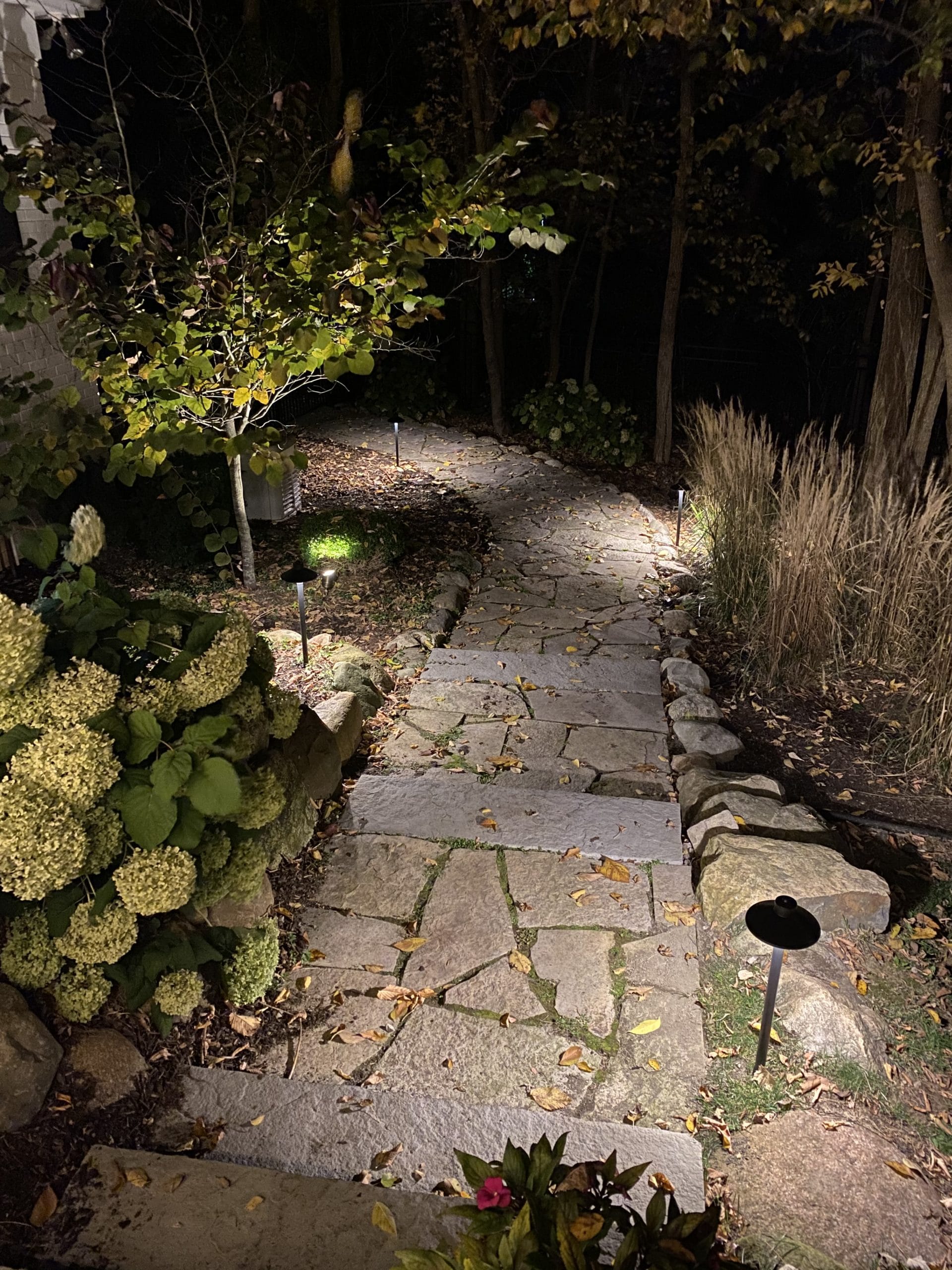 Landscape Lights Sidewalk